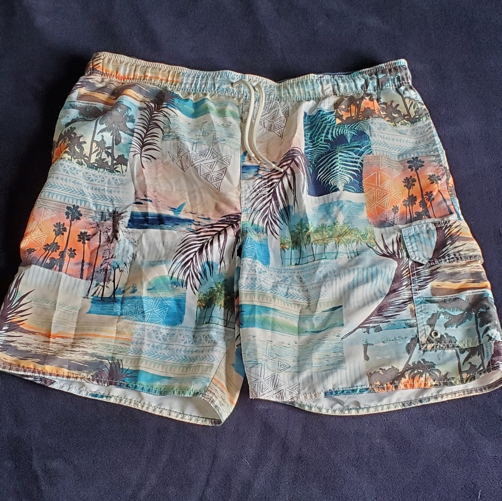 Club Room Men's Swim Shorts